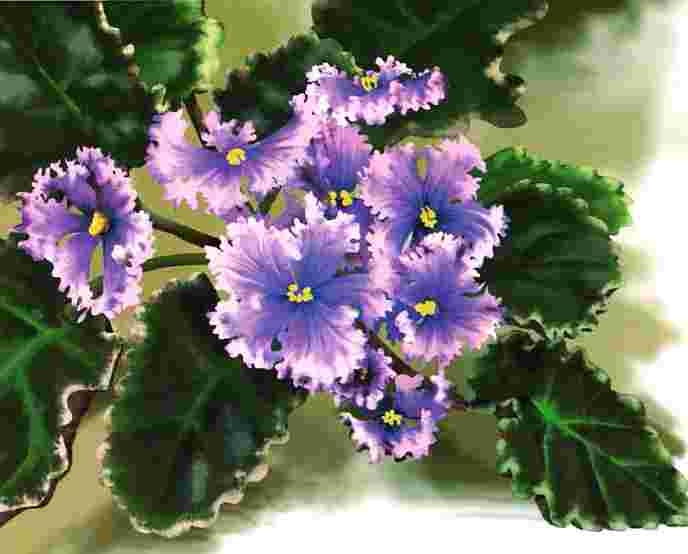 Иллюстрация к книге — Цветы [i_065.jpg]