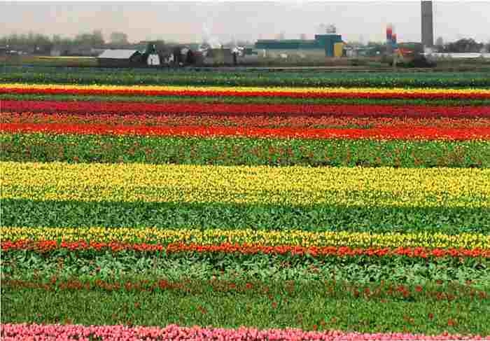 Иллюстрация к книге — Знакомьтесь: Европа [i_019.jpg]