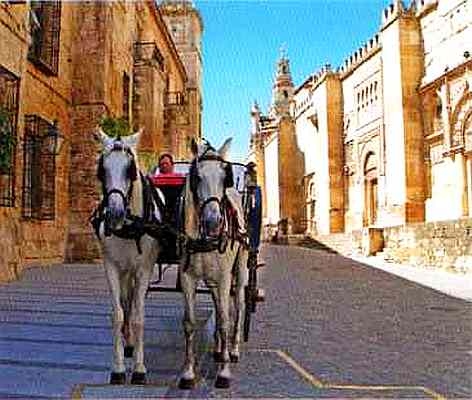 Иллюстрация к книге — Знакомьтесь: Европа [i_057.jpg]