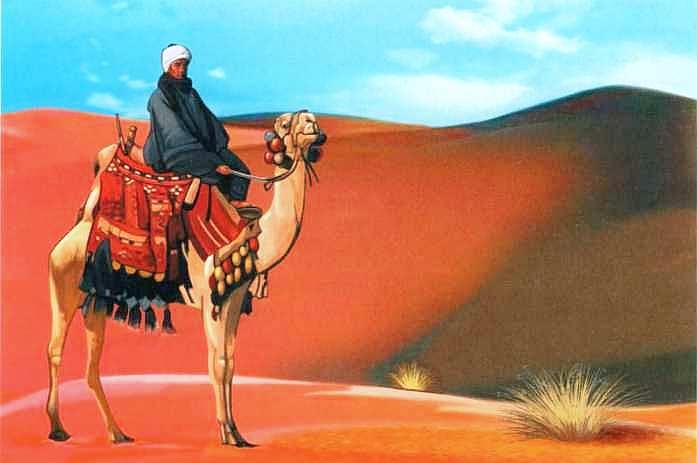 Иллюстрация к книге — Знакомьтесь: Африка [i_017.jpg]