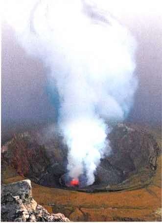 Иллюстрация к книге — Знакомьтесь: Африка [i_064.jpg]