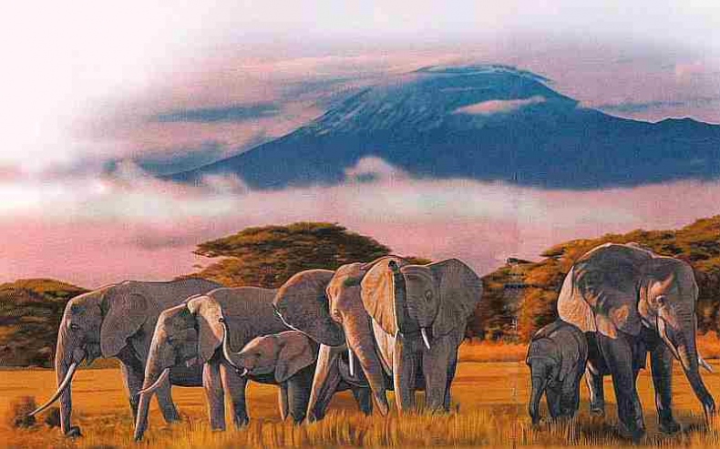 Иллюстрация к книге — Знакомьтесь: Африка [i_080.jpg]