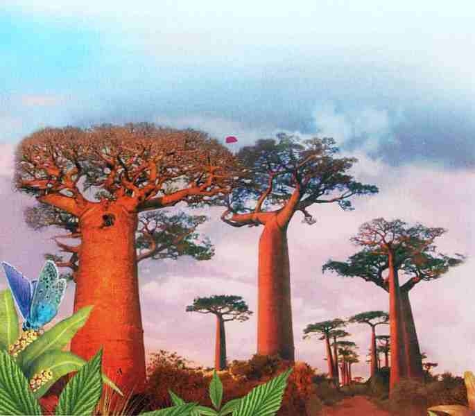 Иллюстрация к книге — Знакомьтесь: Африка [i_089.jpg]