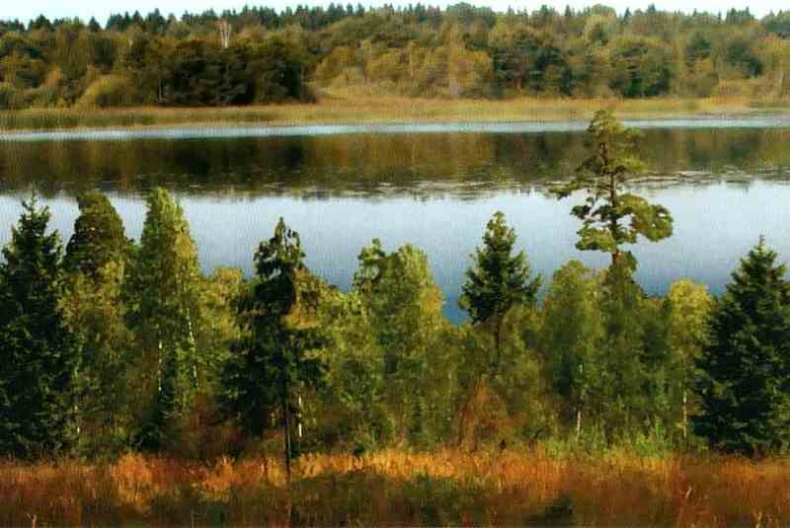 Иллюстрация к книге — Заповедники России [i_015.jpg]