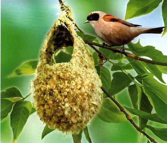 Иллюстрация к книге — Заповедники России [i_023.jpg]