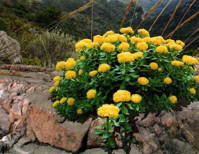 Иллюстрация к книге — Заповедники России [i_037.jpg]