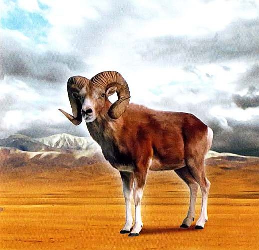 Иллюстрация к книге — Заповедники России [i_039.jpg]