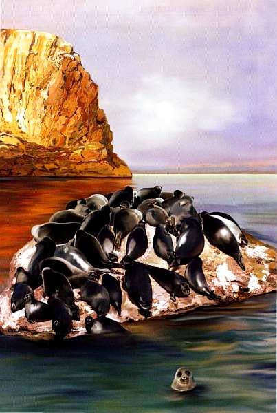 Иллюстрация к книге — Заповедники России [i_041.jpg]