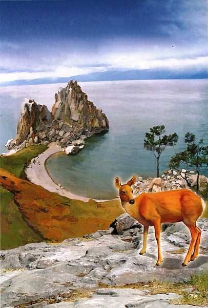 Иллюстрация к книге — Заповедники России [i_042.jpg]