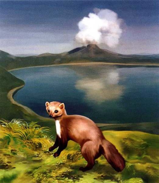 Иллюстрация к книге — Заповедники России [i_044.jpg]