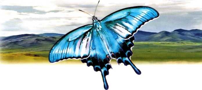 Иллюстрация к книге — Заповедники России [i_048.jpg]