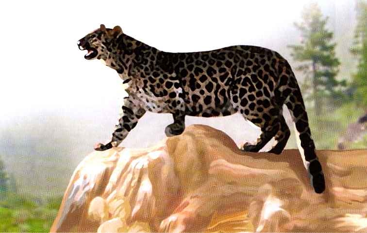 Иллюстрация к книге — Заповедники России [i_049.jpg]