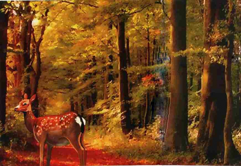 Иллюстрация к книге — Заповедники России [i_050.jpg]