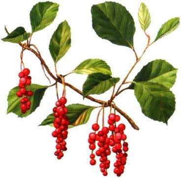 Иллюстрация к книге — Заповедники России [i_051.jpg]