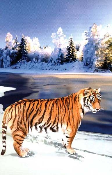 Иллюстрация к книге — Заповедники России [i_054.jpg]