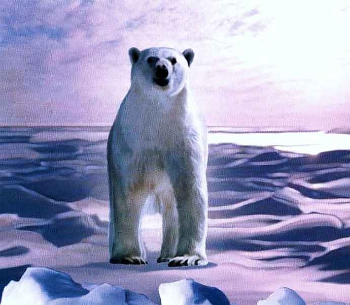 Иллюстрация к книге — Заповедники России [i_059.jpg]