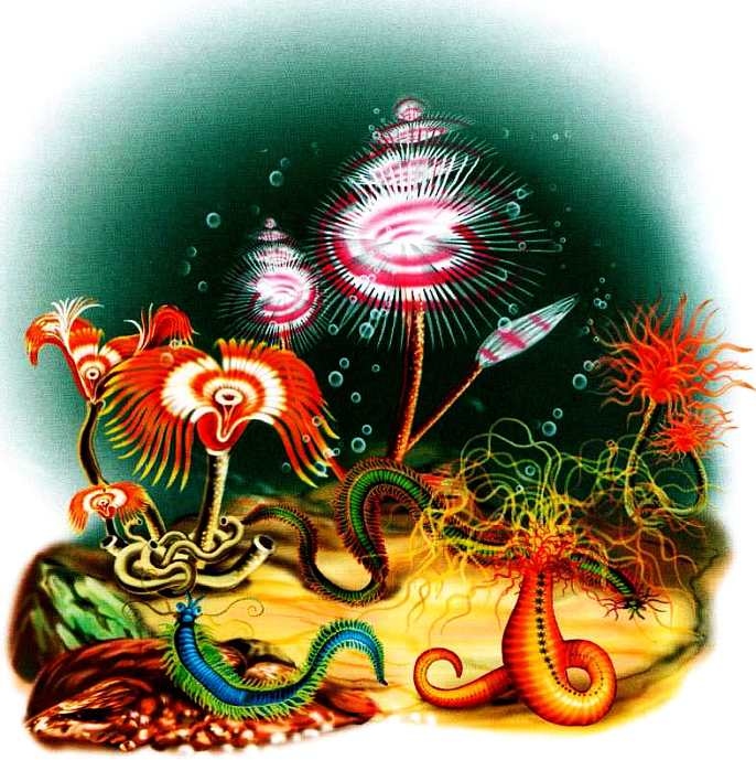 Иллюстрация к книге — Жуки и другие удивительные насекомые [i_009.jpg]