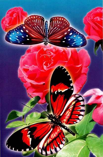 Иллюстрация к книге — Жуки и другие удивительные насекомые [i_030.jpg]