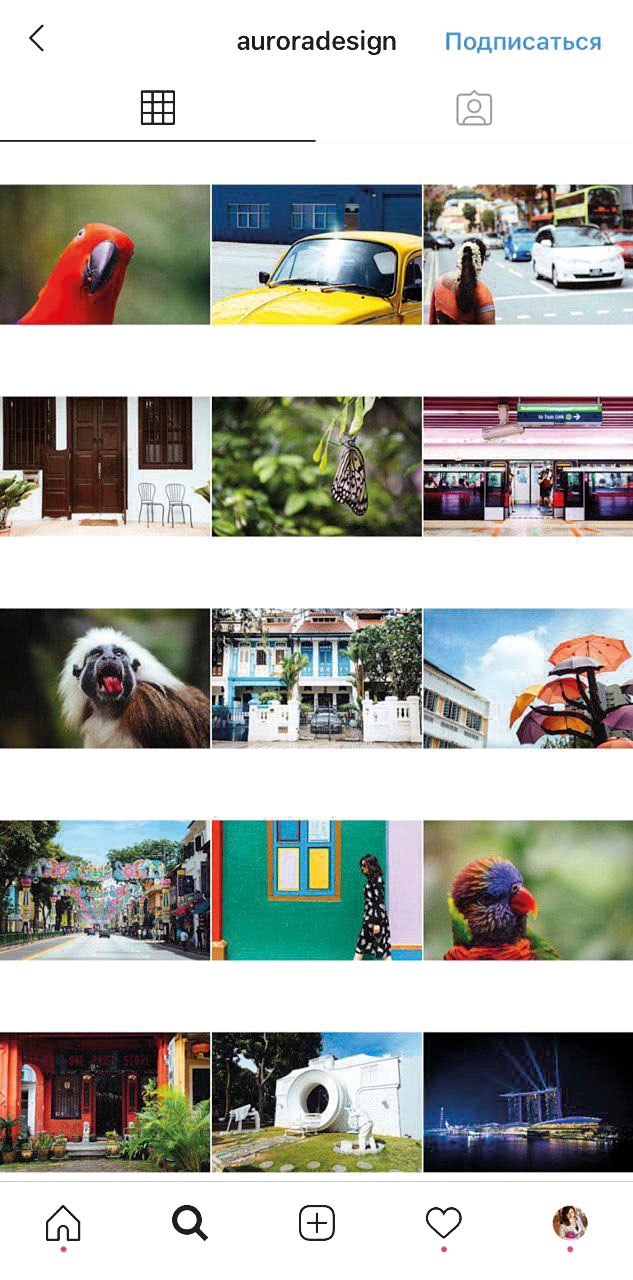 Иллюстрация к книге — #Твой любимый инстаграм [i_049.jpg]