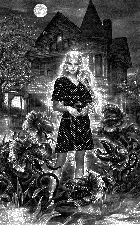 Иллюстрация к книге — Чертова ведьма [i_001.jpg]