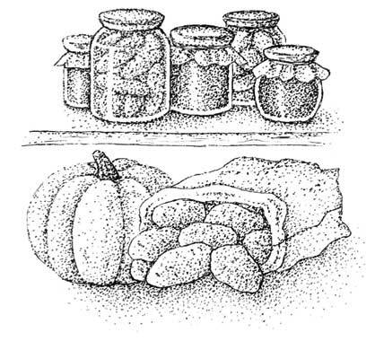 Иллюстрация к книге — Южные помидоры. Рассказы о доме с синей дверью и черешневом компоте [i_002.jpg]