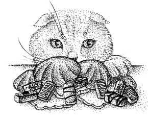 Иллюстрация к книге — Южные помидоры. Рассказы о доме с синей дверью и черешневом компоте [i_011.jpg]