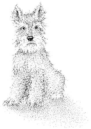 Иллюстрация к книге — Южные помидоры. Рассказы о доме с синей дверью и черешневом компоте [i_023.jpg]