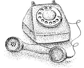 Иллюстрация к книге — Южные помидоры. Рассказы о доме с синей дверью и черешневом компоте [i_031.jpg]