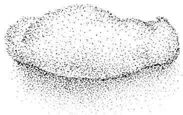 Иллюстрация к книге — Южные помидоры. Рассказы о доме с синей дверью и черешневом компоте [i_037.jpg]