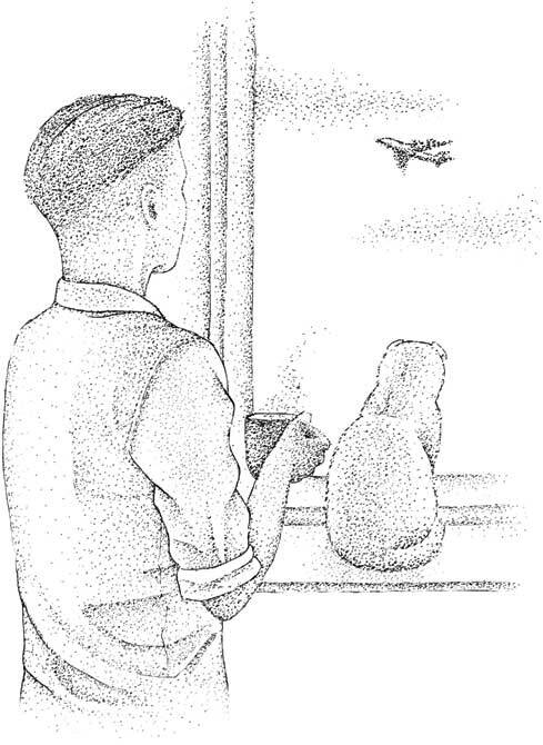 Иллюстрация к книге — Южные помидоры. Рассказы о доме с синей дверью и черешневом компоте [i_040.jpg]