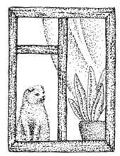 Иллюстрация к книге — Южные помидоры. Рассказы о доме с синей дверью и черешневом компоте [i_044.jpg]