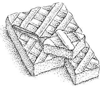 Иллюстрация к книге — Южные помидоры. Рассказы о доме с синей дверью и черешневом компоте [i_045.jpg]