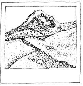 Иллюстрация к книге — Южные помидоры. Рассказы о доме с синей дверью и черешневом компоте [i_046.jpg]