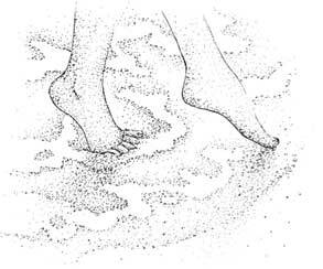 Иллюстрация к книге — Южные помидоры. Рассказы о доме с синей дверью и черешневом компоте [i_047.jpg]