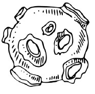 Иллюстрация к книге — Загадки космоса. Планеты и экзопланеты [i_092.jpg]