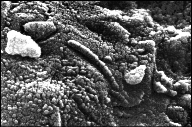 Иллюстрация к книге — Загадки космоса. Планеты и экзопланеты [i_104.jpg]