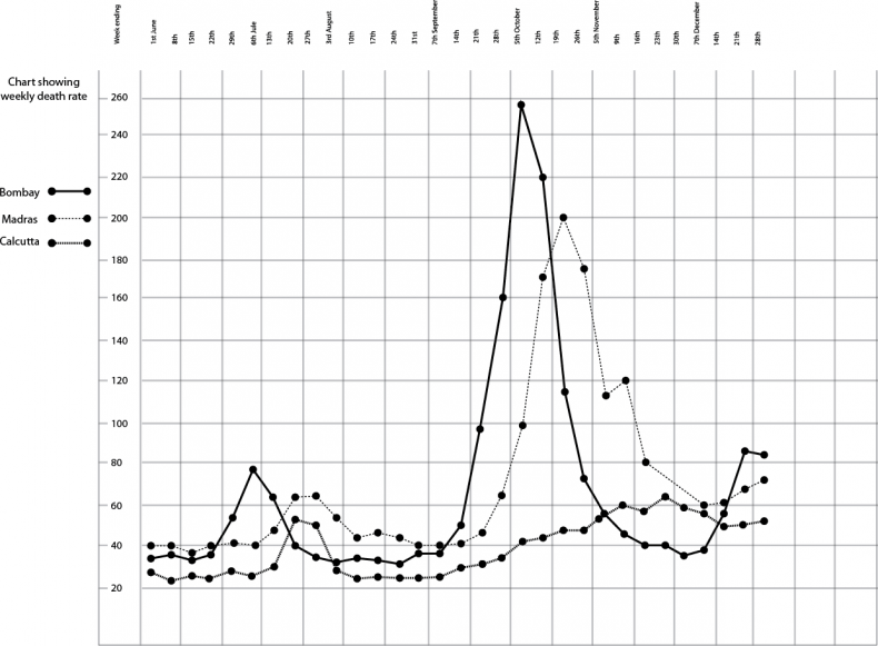 Иллюстрация к книге — От испанки до COVID-19. Хроники нападений вирусов [i_002.jpg]
