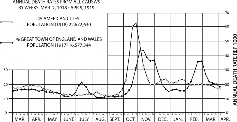 Иллюстрация к книге — От испанки до COVID-19. Хроники нападений вирусов [i_007.jpg]