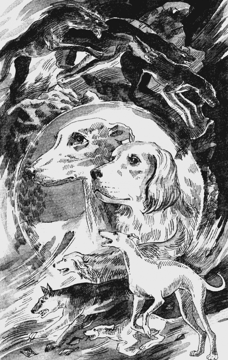 Иллюстрация к книге — Собачья гроза [i_001.jpg]