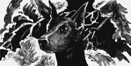 Иллюстрация к книге — Собачья гроза [i_002.jpg]