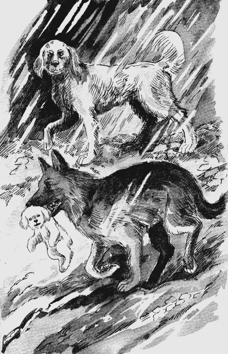 Иллюстрация к книге — Собачья гроза [i_008.jpg]