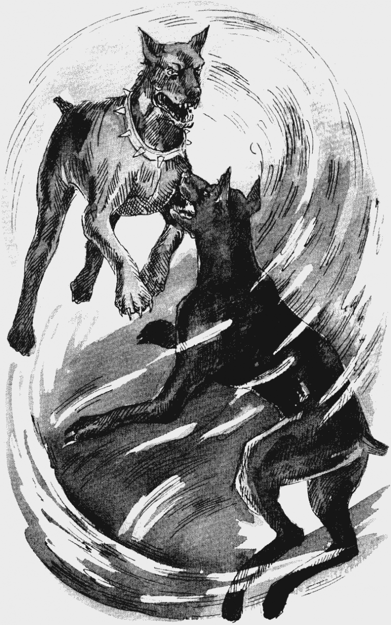 Иллюстрация к книге — Собачья гроза [i_010.jpg]