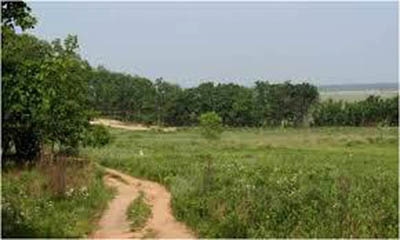 Иллюстрация к книге — Рыжик [i_054.jpg]