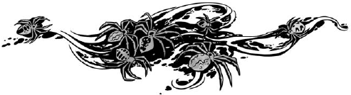 Иллюстрация к книге — Корабль из прошлого [i_019.jpg]