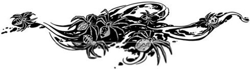 Иллюстрация к книге — Корабль из прошлого [i_025.jpg]