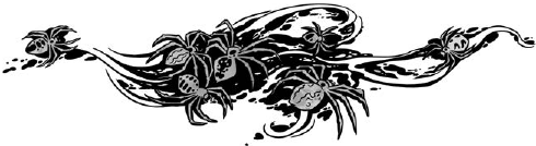 Иллюстрация к книге — Корабль из прошлого [i_057.jpg]