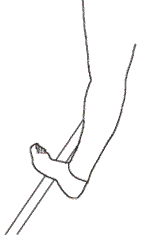 Иллюстрация к книге — Доктор Евгений Божьев советует. Зарядка на каждый день [i_051.jpg]