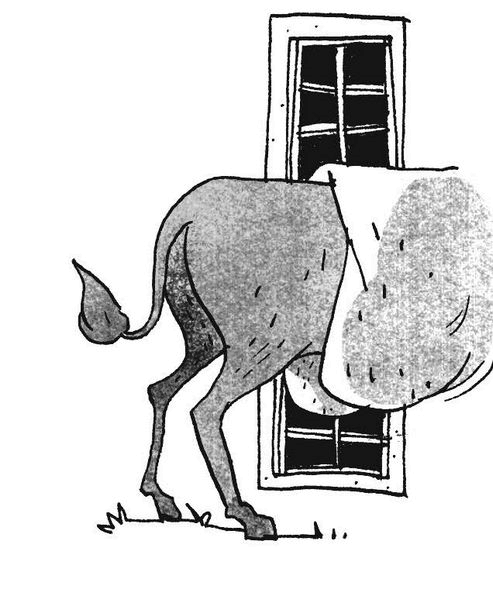 Иллюстрация к книге — Рассказ инквизитора, или Трое удивительных детей и их святая собака [i_022.jpg]