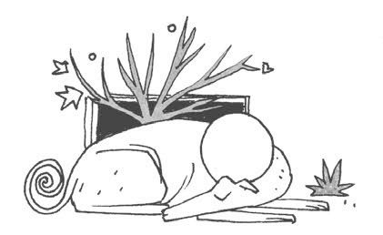 Иллюстрация к книге — Рассказ инквизитора, или Трое удивительных детей и их святая собака [i_024.jpg]