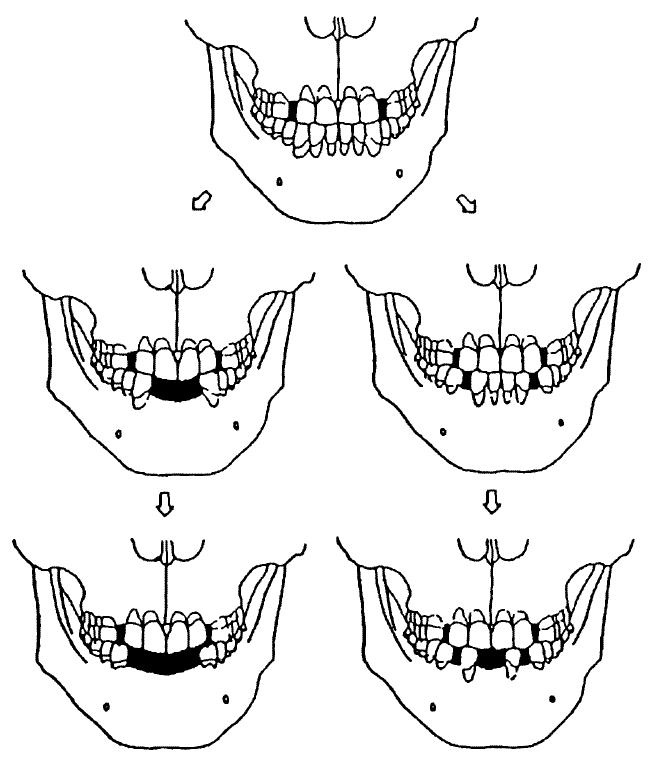 Иллюстрация к книге — История древней Японии [i_007.jpg]